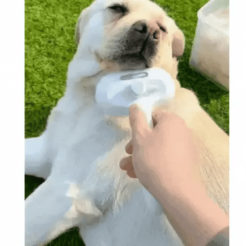 Zoolie® Steami Pro - Pflegebürste für Haustiere