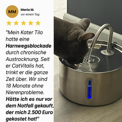 Zoolie® Automatischer Katzen-Wasserbrunnen 2,2 l aus Edelstahl, quadratisch, mit Fenster