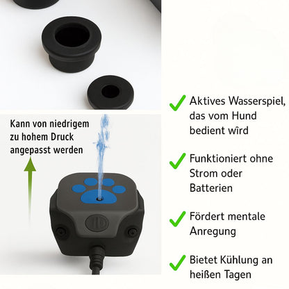 Zoolie® Interaktive Kühlende Hundespielbrunnen