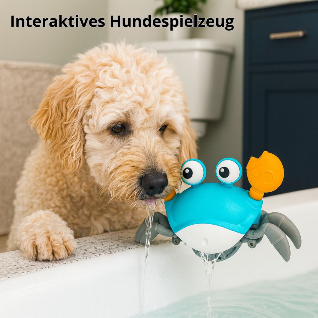 Zoolie® Krabbelnder Krebs – Interaktives Hundespielzeug