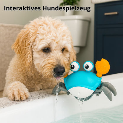 Zoolie® Krabbelnder Krebs – Interaktives Hundespielzeug
