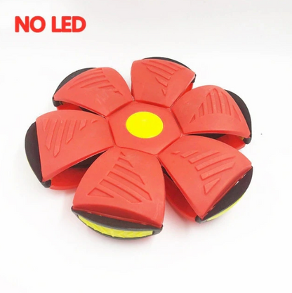 Zoolie® Magic UFO Ball PL2 für Haustiere