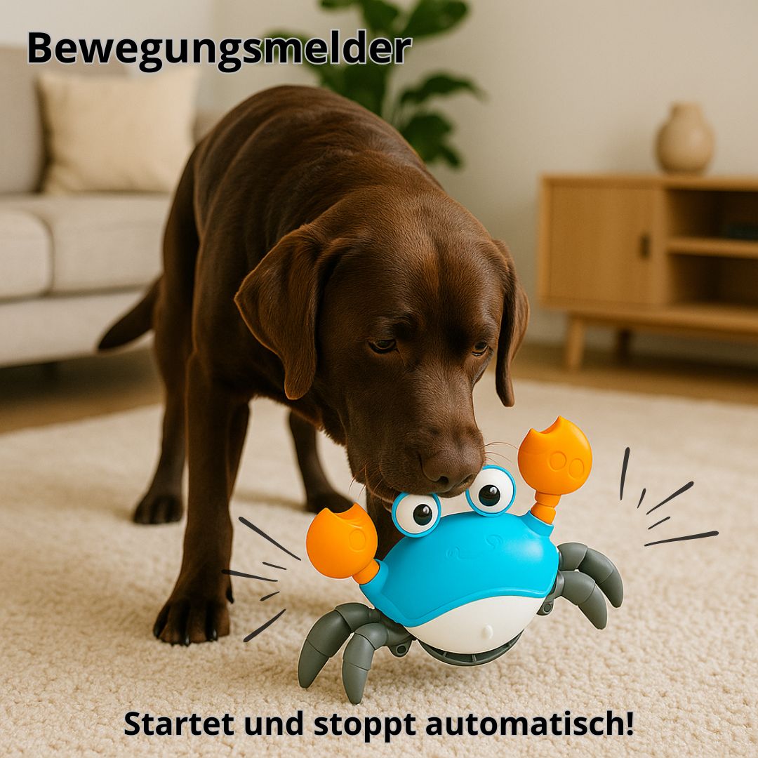 Begeisterung für Ihr Haustier!