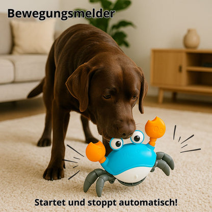 Zoolie® Krabbelnder Krebs – Interaktives Hundespielzeug