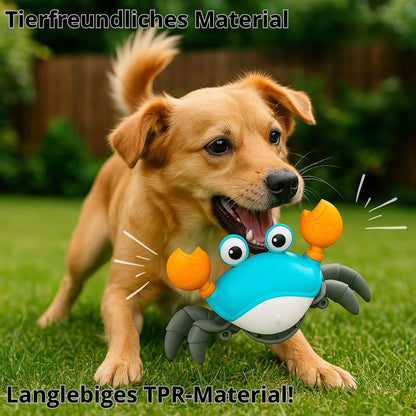 Zoolie® Krabbelnder Krebs – Interaktives Hundespielzeug