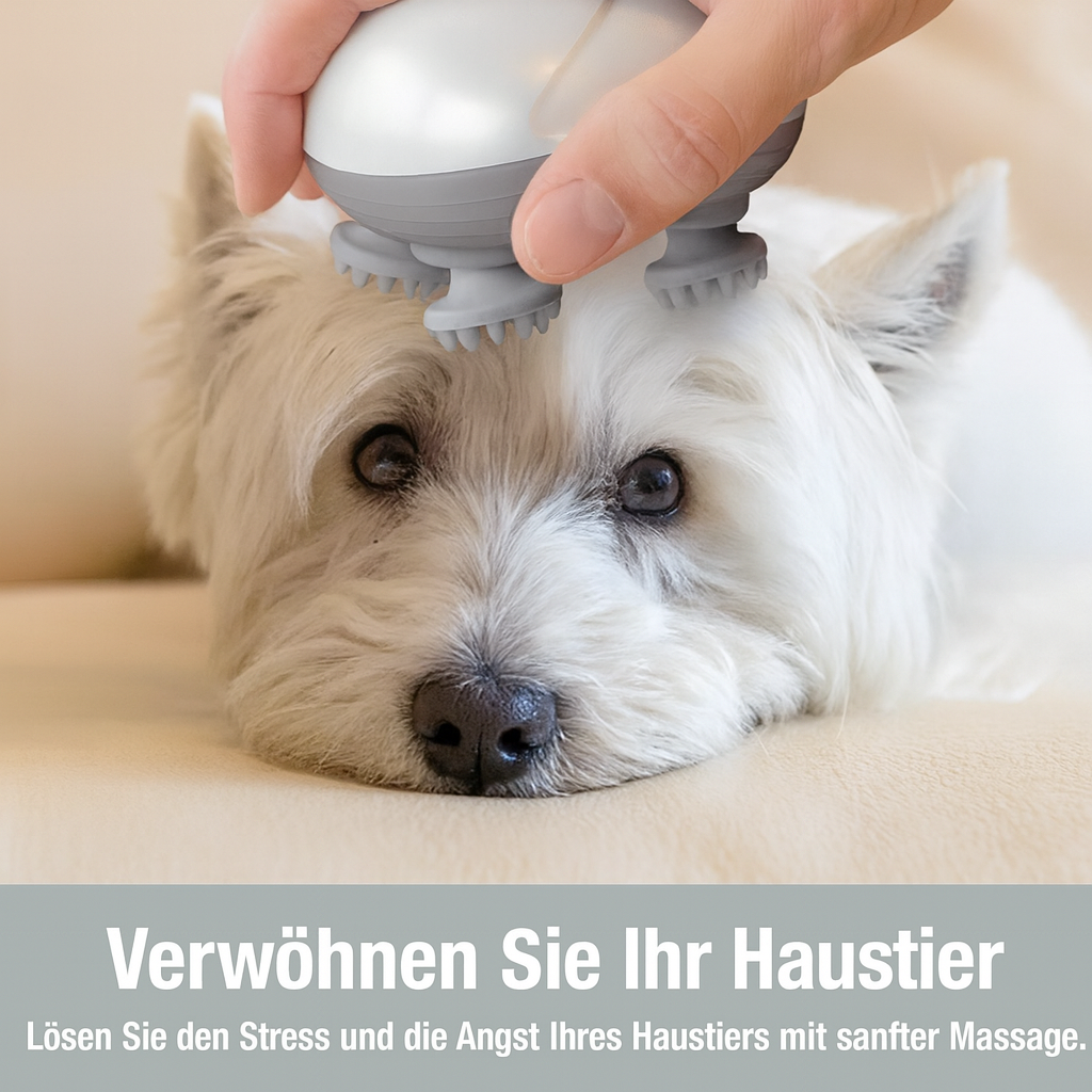 Zoolie® Elektrisches Massagegerät für Haustiere