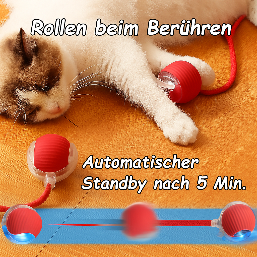 Interaktiver elektrischer Haustierball mit Schwanzattrappe - für Katze und Hund