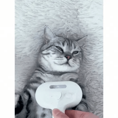 Zoolie® Steami Pro - Pflegebürste für Haustiere