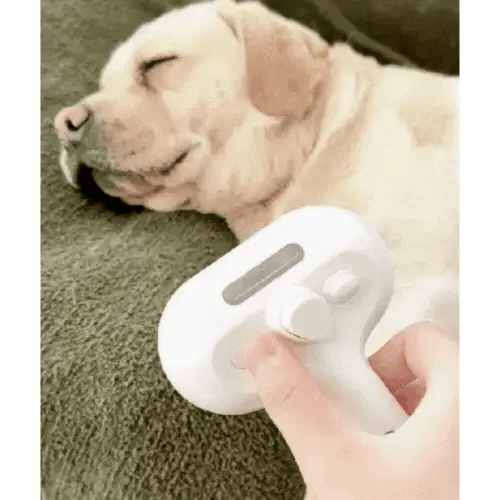 Zoolie® Steami Pro - Pflegebürste für Haustiere