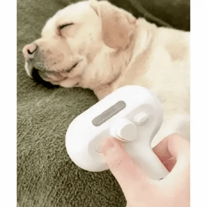 Zoolie® Steami Pro - Pflegebürste für Haustiere