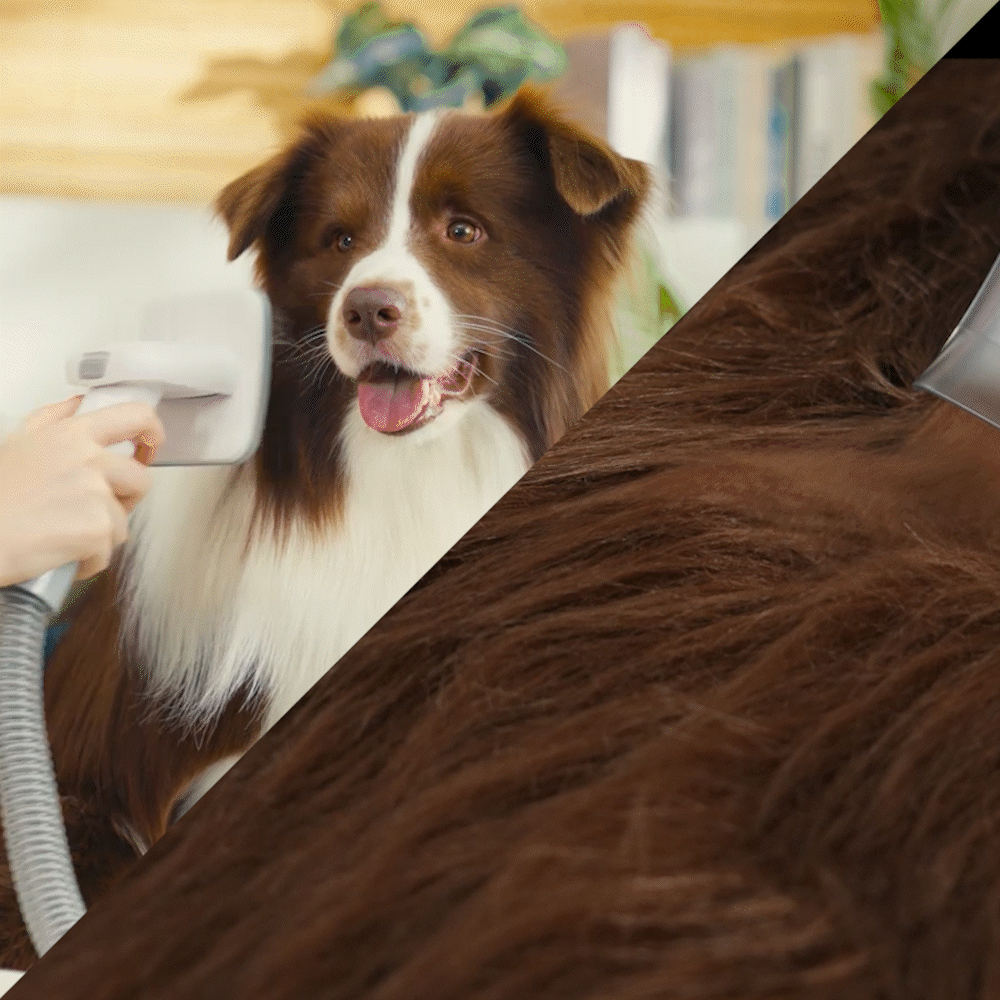 Zoolie® 7-in-1 Haustier Pflege Staubsauger Set